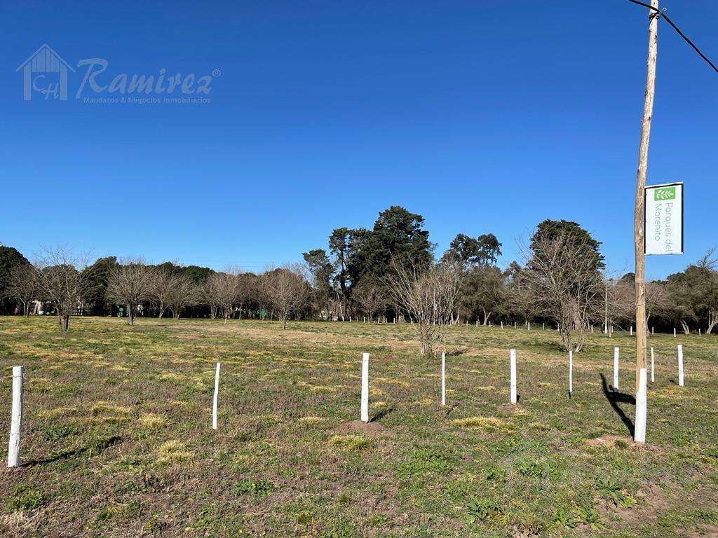 Lote Terreno en Venta 300 m² - Parques del Morenito, Moreno Norte 1