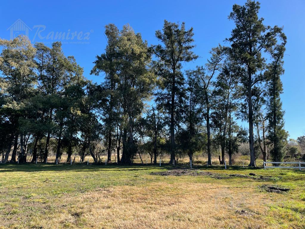 Lote Terreno en Venta 300 m² - Parques del Morenito, Moreno Norte 3