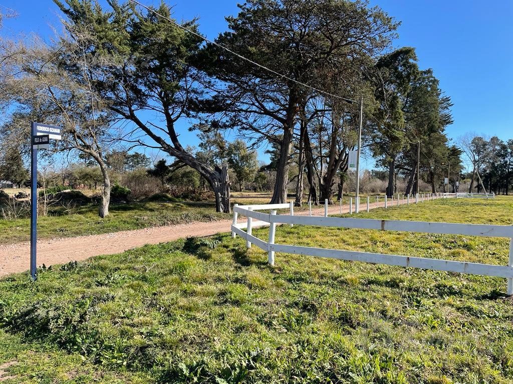 Lote Terreno en Venta 300 m² - Parques del Morenito, Moreno Norte 2