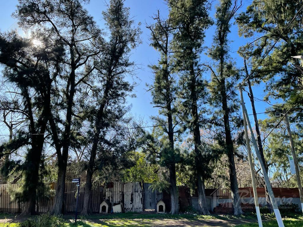 Lote Terreno en Venta 840 m² - Parques del Morenito, Moreno Norte 2