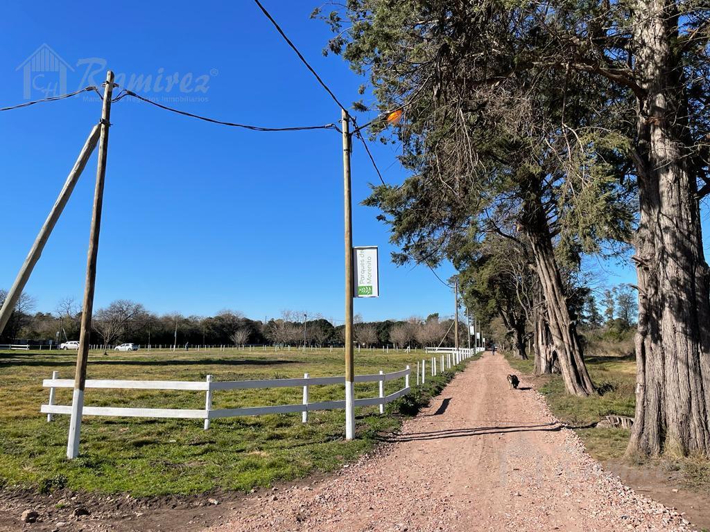 Lote Terreno en Venta 840 m² - Parques del Morenito, Moreno Norte 5