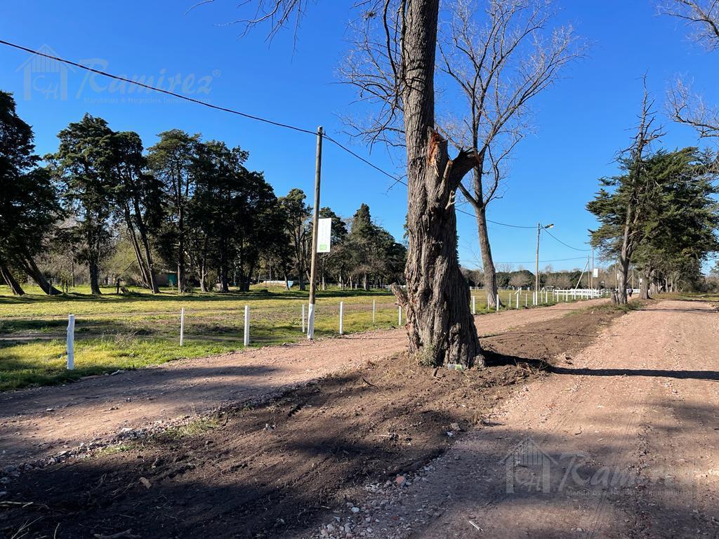 Lote Terreno en Venta 1200 m² - Parques del Morenito, Moreno Norte 3