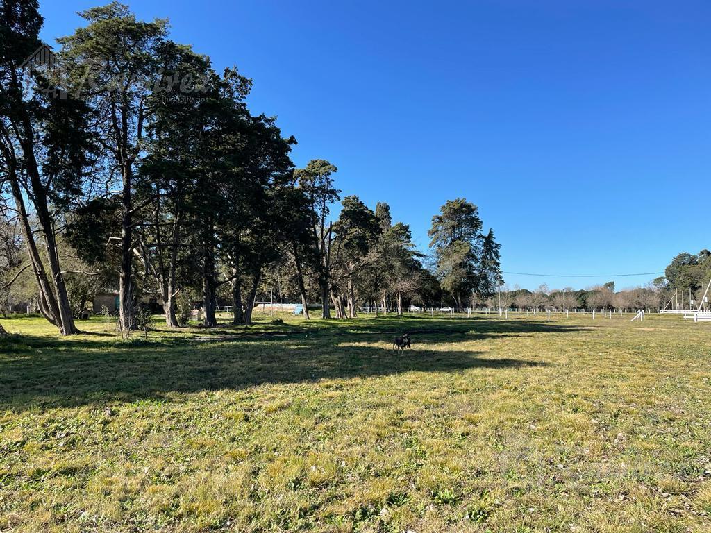 Lote Terreno en Venta 1200 m² - Parques del Morenito, Moreno Norte 2