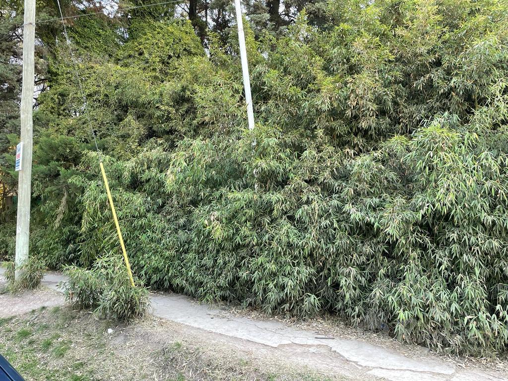 Lote Terreno en Venta - Sol y Verde (Jose C. Paz) 4