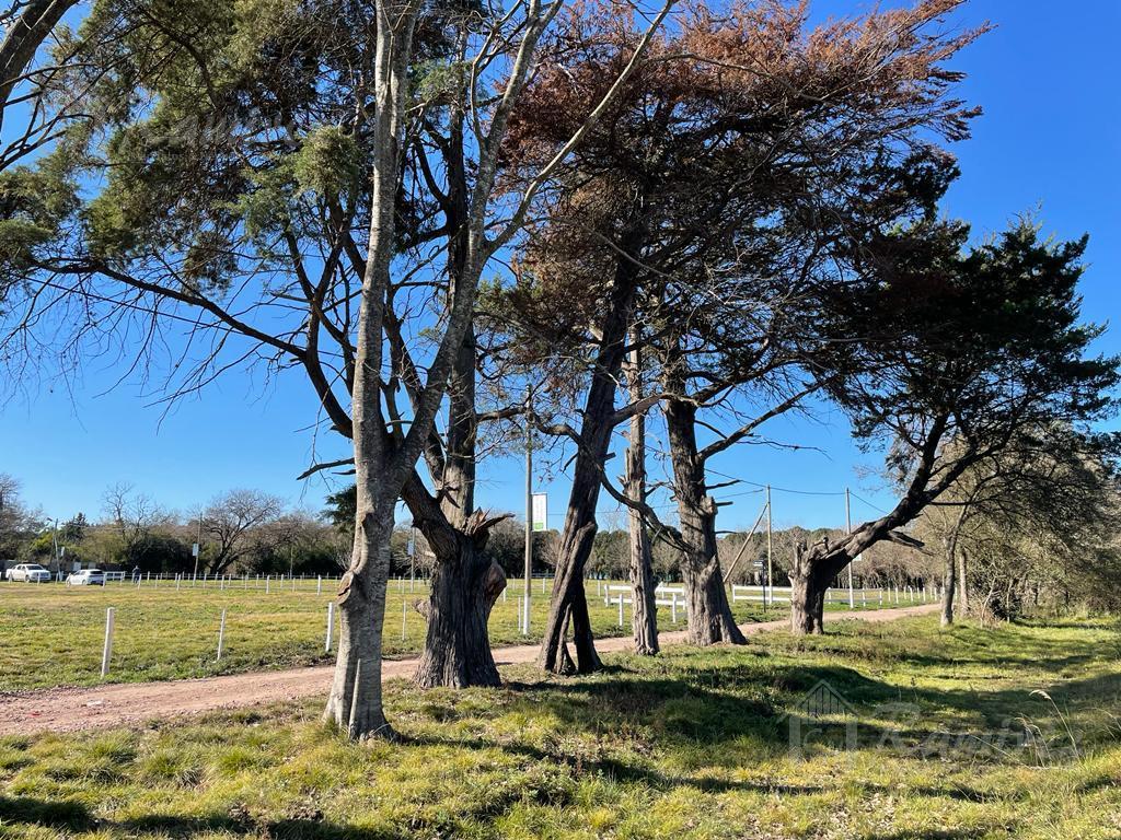 Lote en Venta 594 m² Moreno Norte 1