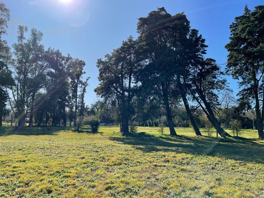 Lote en Venta 594 m² Moreno Norte 2