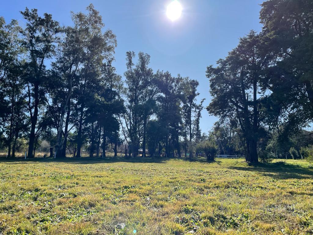 Lote en Venta 594 m² Moreno Norte 3