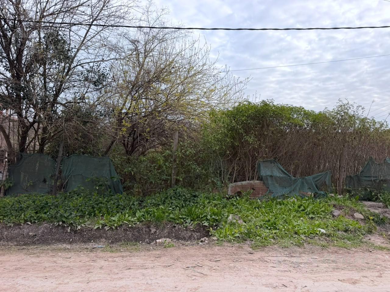 Foto de Terreno En Venta - General Rodriguez, imagen 2