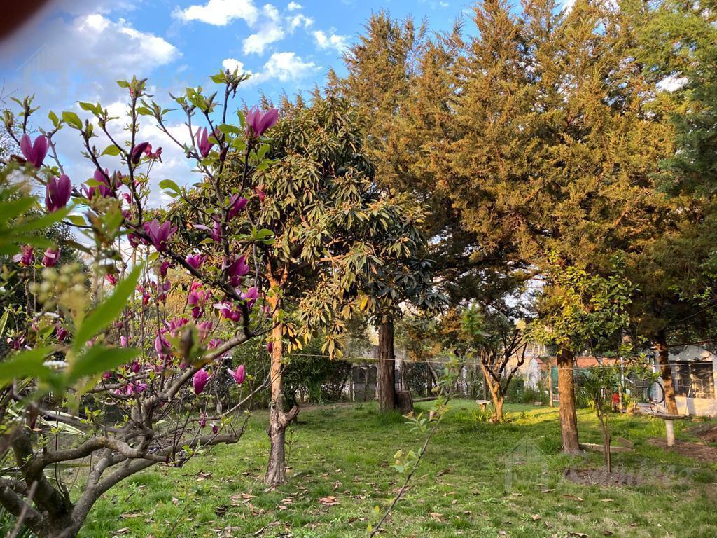 Foto de Terreno 400 M2 - General Rodriguez, imagen 4