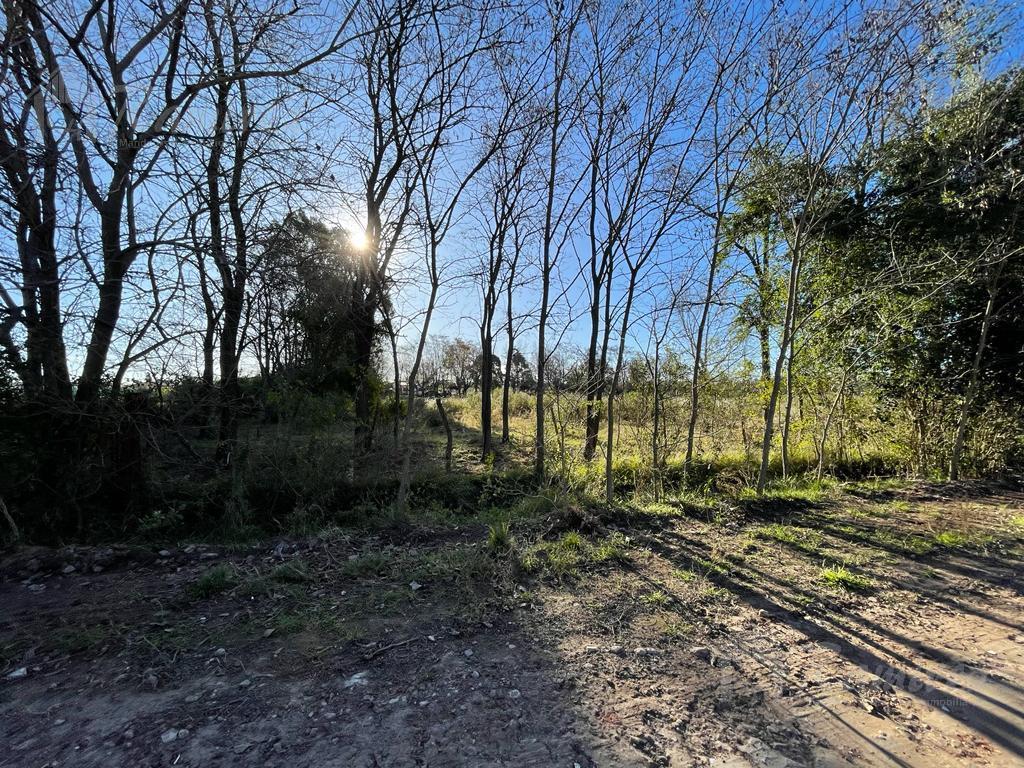 Foto de Lote Terreno En Venta 4000 m2 - General Rodriguez, imagen 1