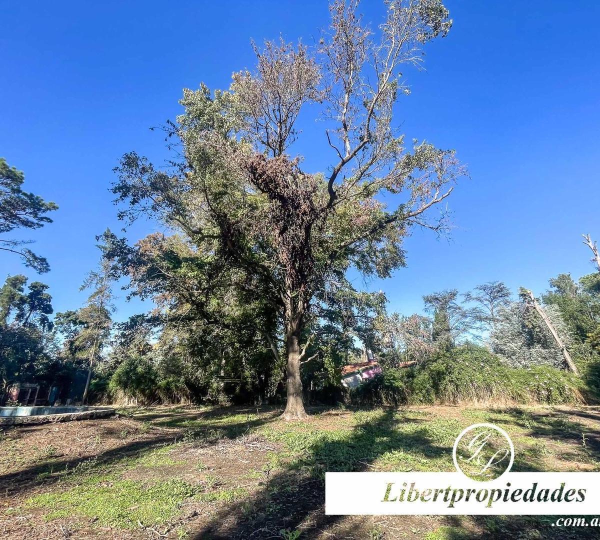 Terreno en Venta en Exaltación de la Cruz