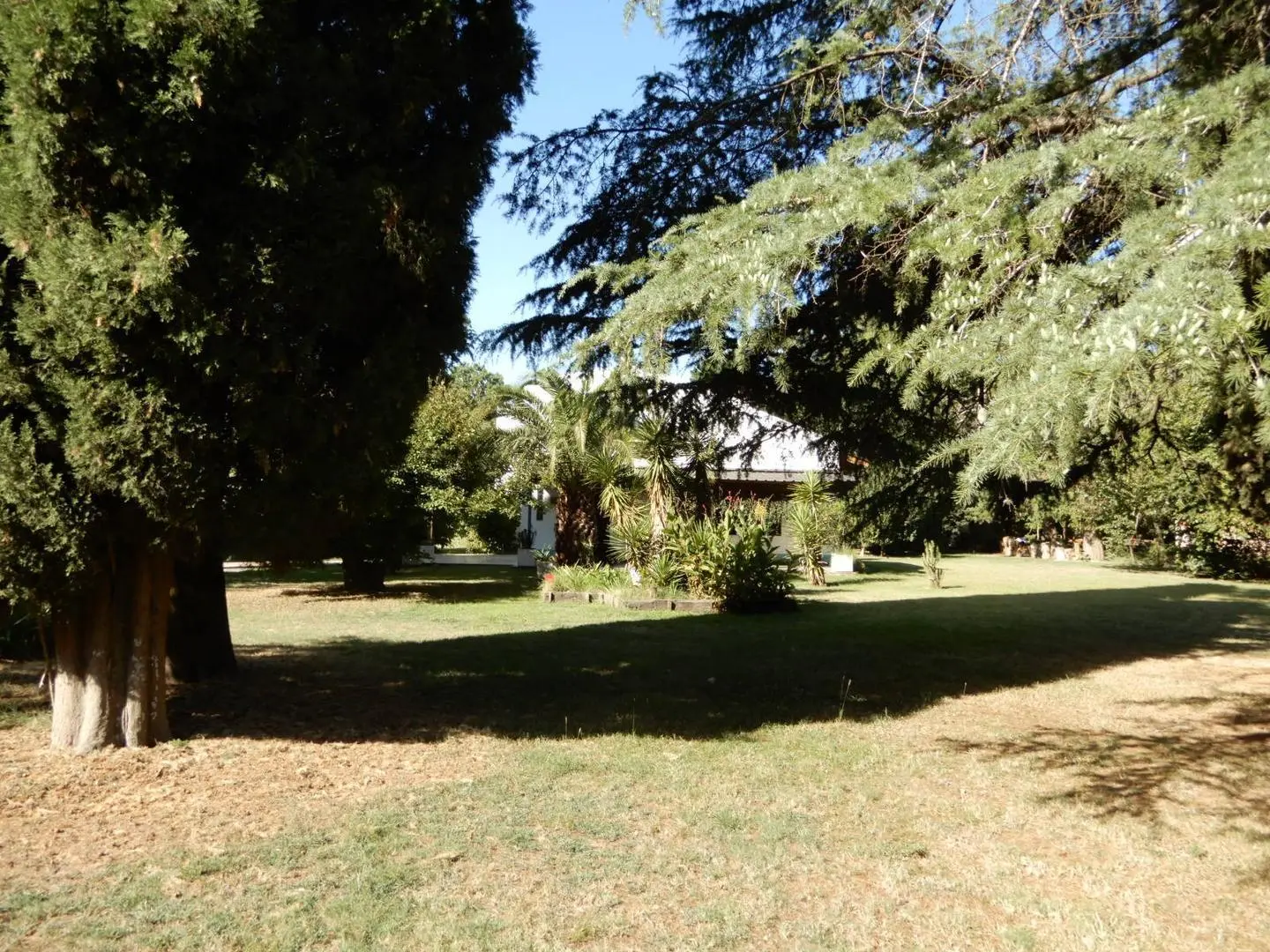 Excelente quiinta con gran parque en B° Jularo bien ubicado 5