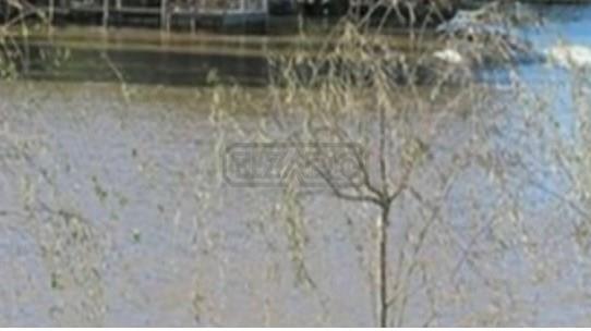 Foto de Terreno Lote en Venta en Barrio Nautico San Juan, Villanueva, Tigre, imagen 4