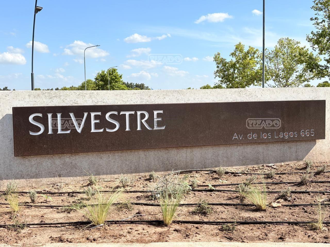 Foto de Terreno Lote en Venta en Silvestre, Nordelta, Tigre, imagen 2