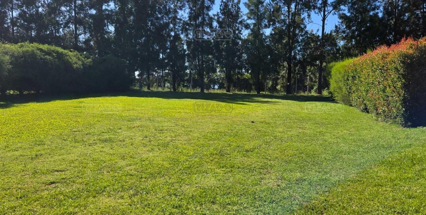 Foto de Terreno Lote en Venta en San Agustín, Villanueva, Tigre, imagen 4