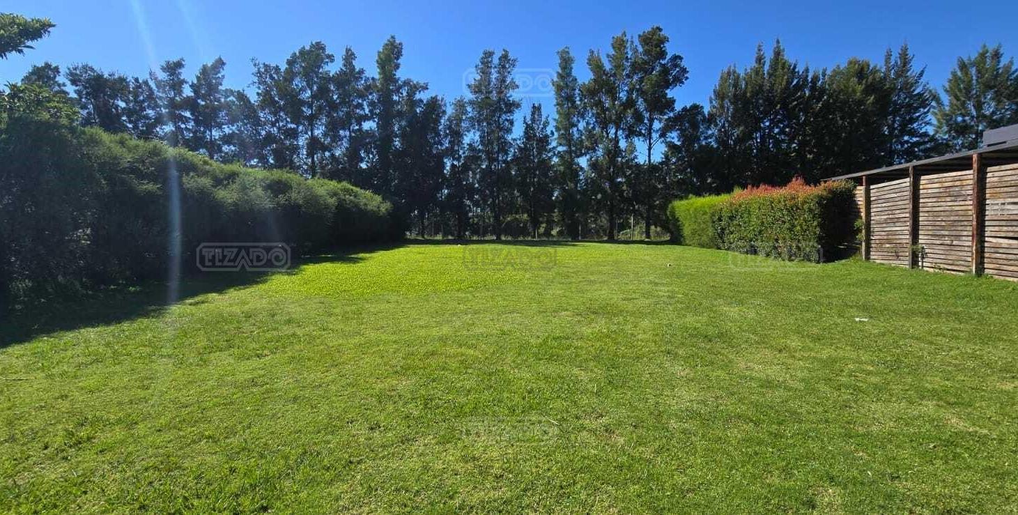 Foto de Terreno Lote en Venta en San Agustín, Villanueva, Tigre, imagen 5