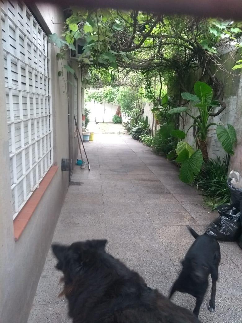 CASA AMERICANA DE 3 AMBIENTES EN HAEDO NORTE S/LOTE DE 337M2
