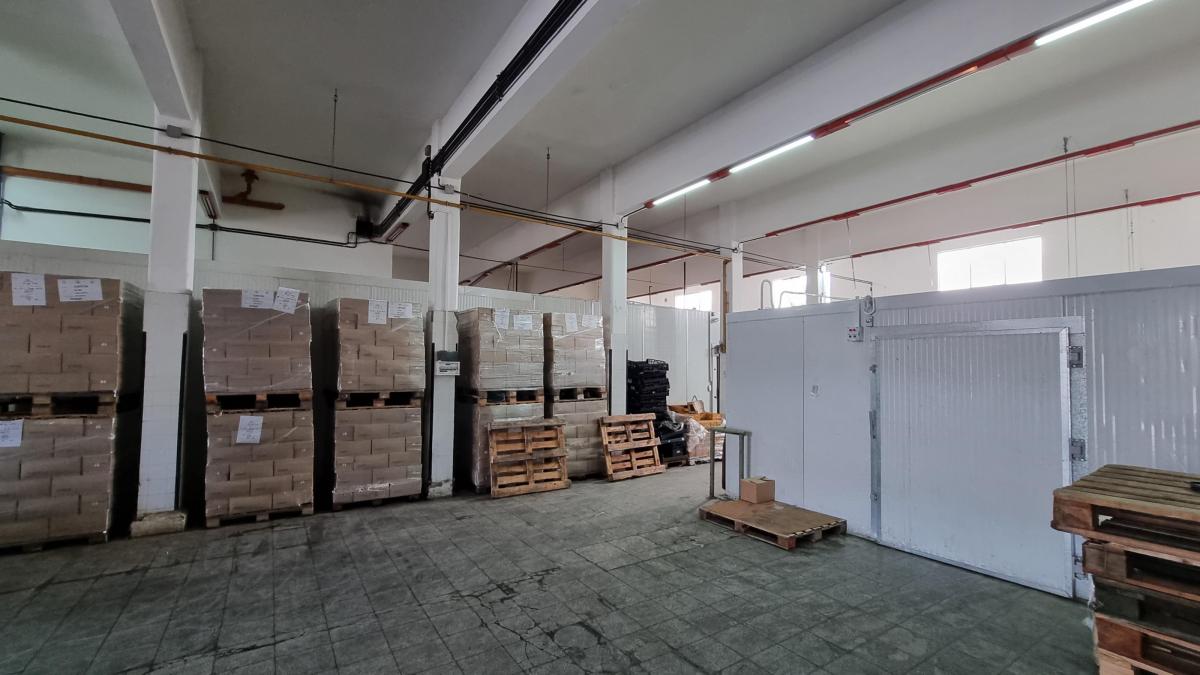 Deposito de 750 m² Cubiertos Zona Los Andes. Distrito E3. Amplia Financiación! 4