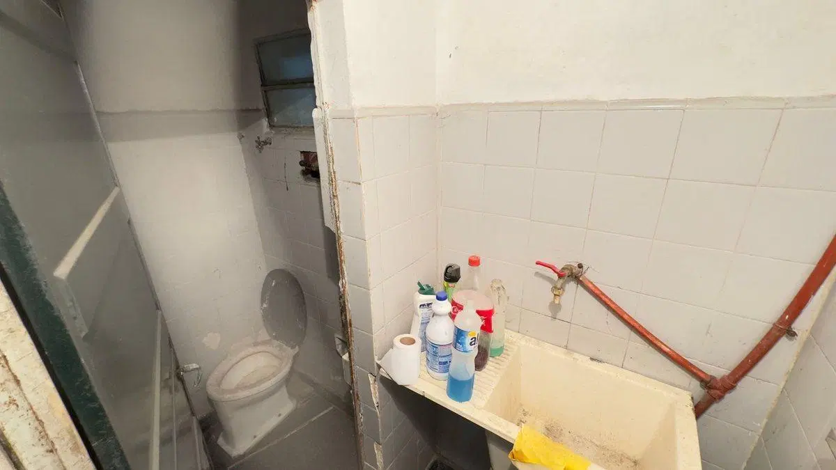 VENTA GALPON BURZACO + 2 LOCALES AL FRENTE 5