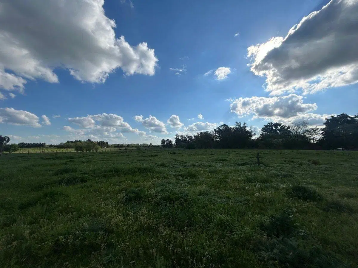 Venta Campo 1/2Ha, Partido de Luján 2