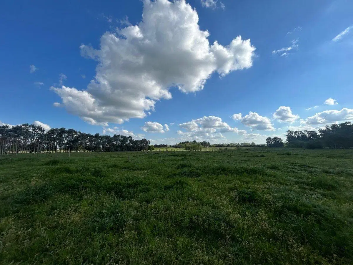 Venta Campo 1/2Ha, Partido de Luján 4