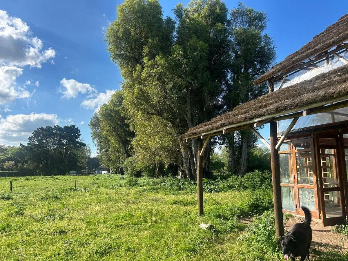 Venta Campo 3 Ha más Quincho, Partido de Luján 3