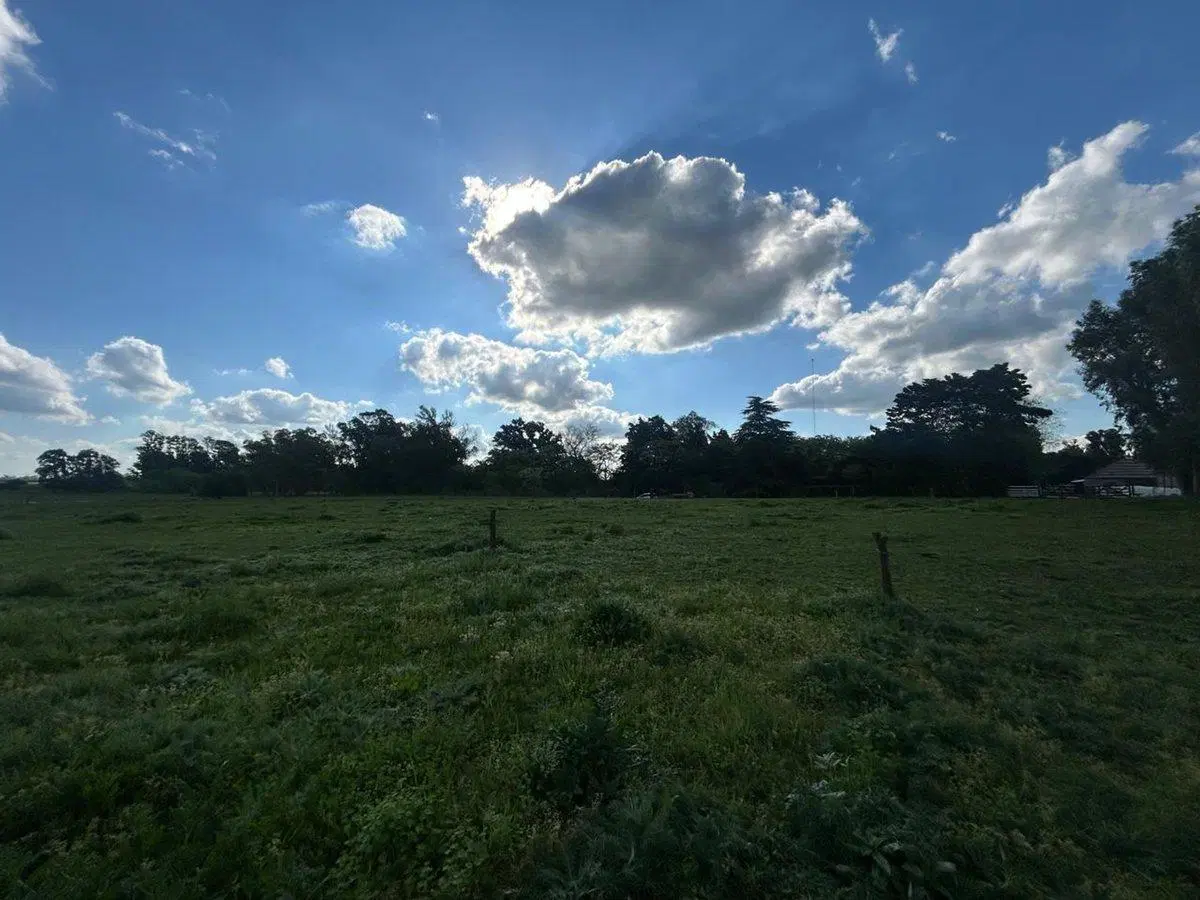 Venta Campo 3 Ha más Quincho, Partido de Luján 5