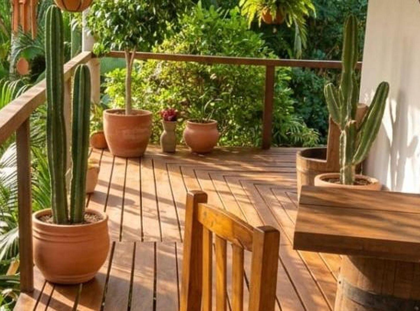 Foto de VENTA LOTE ISLA DE ALICIA TIGRE, imagen 4