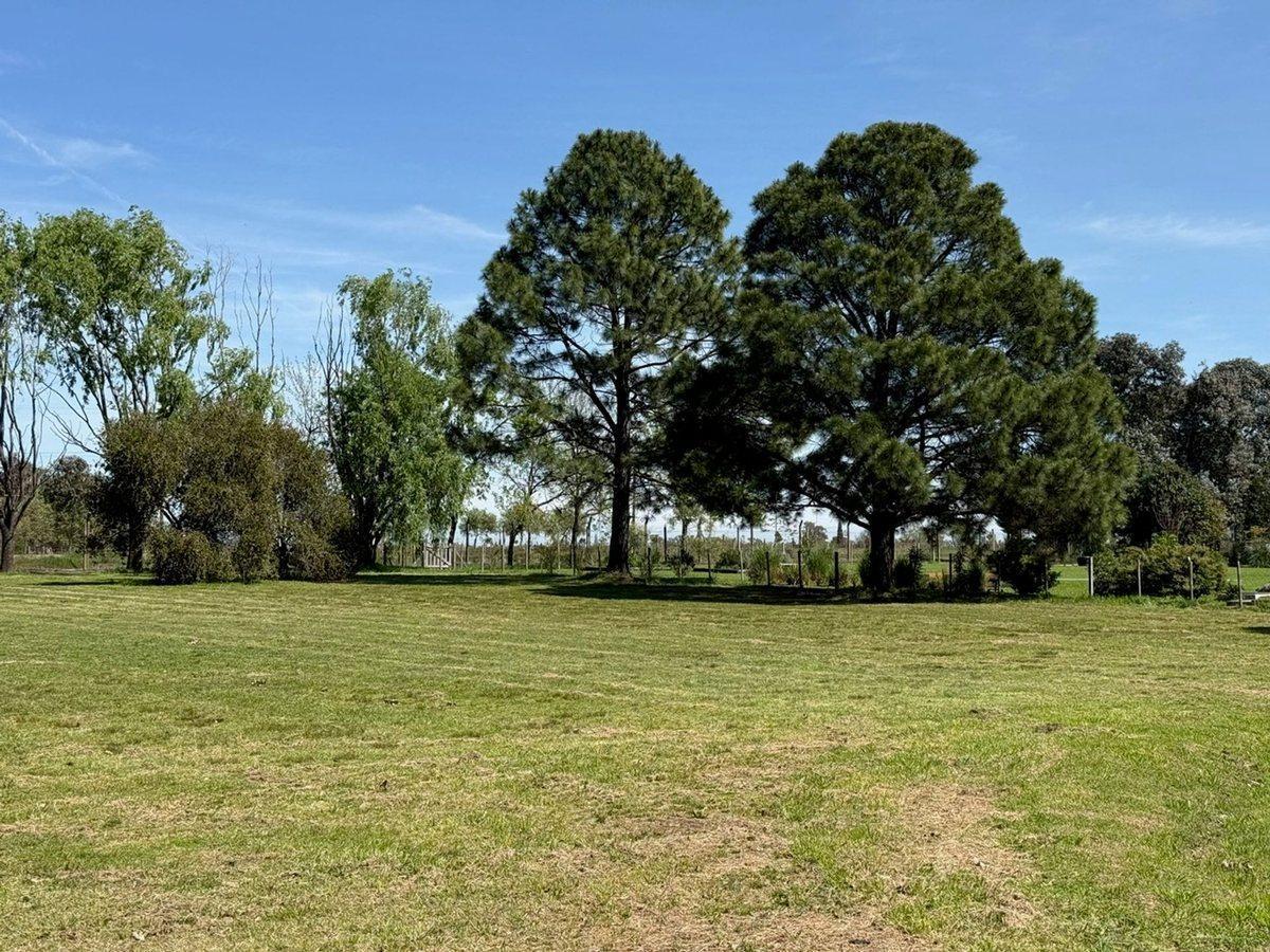 Foto de Lote en Venta - Santa Catalina - Open Door - Lujan, imagen 4