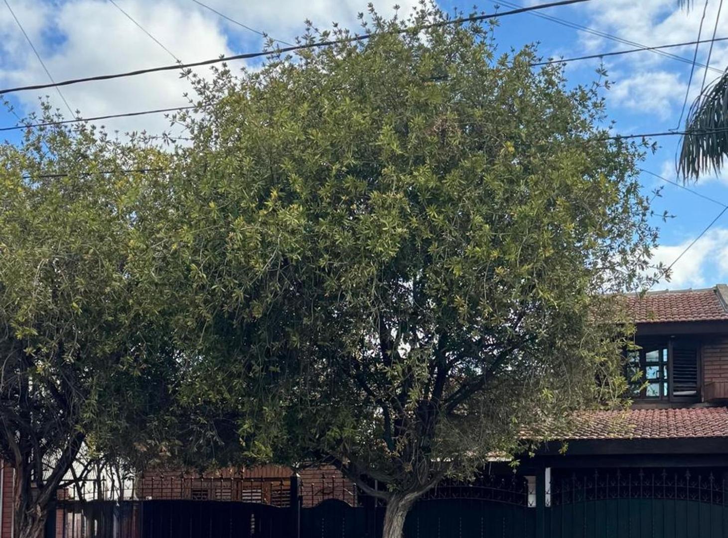 Foto de Venta casa 4 ambientes con pileta LLavallol, imagen 1