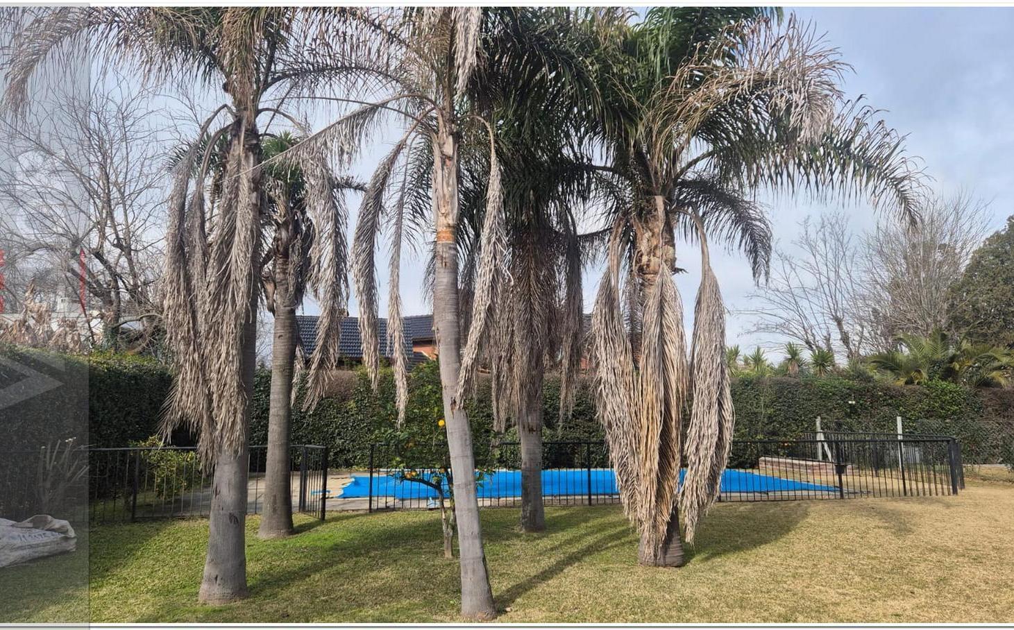 Foto de Terreno en Mapuche C.C, imagen 2