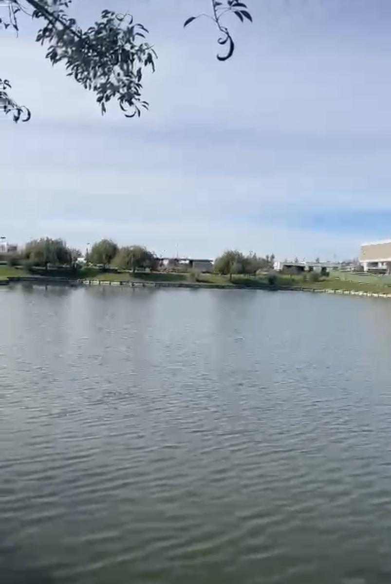 Lote al Lago en Venta en Virazon