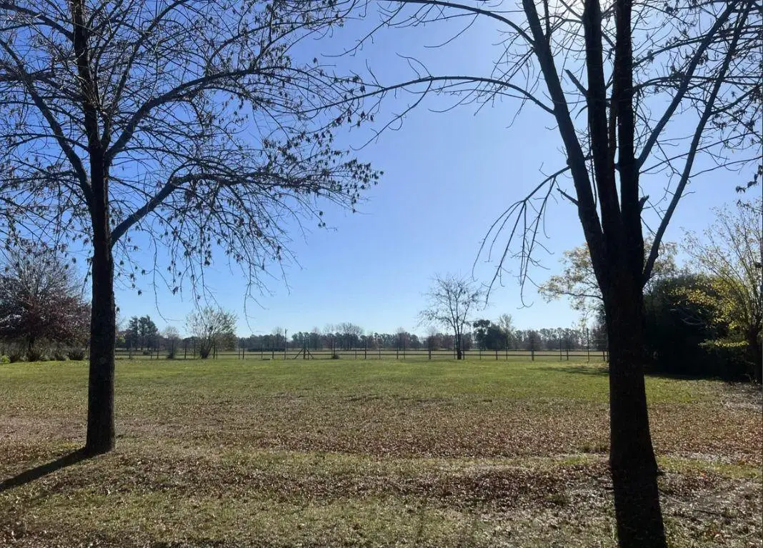 Lote en Venta en Club de Campo San Francisco 5