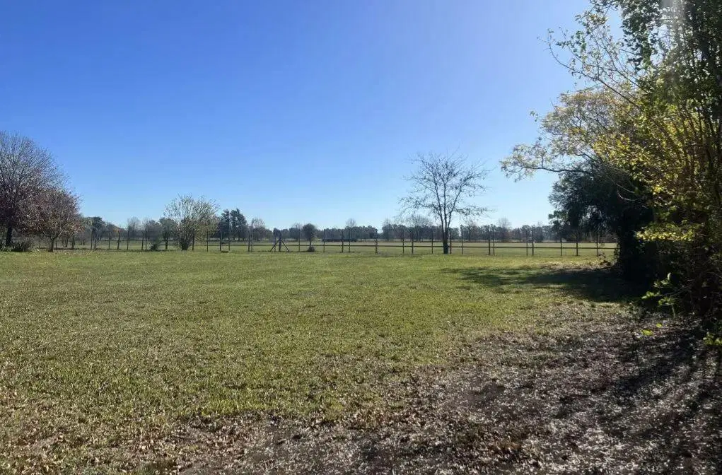 Lote en Venta en Club de Campo San Francisco 1