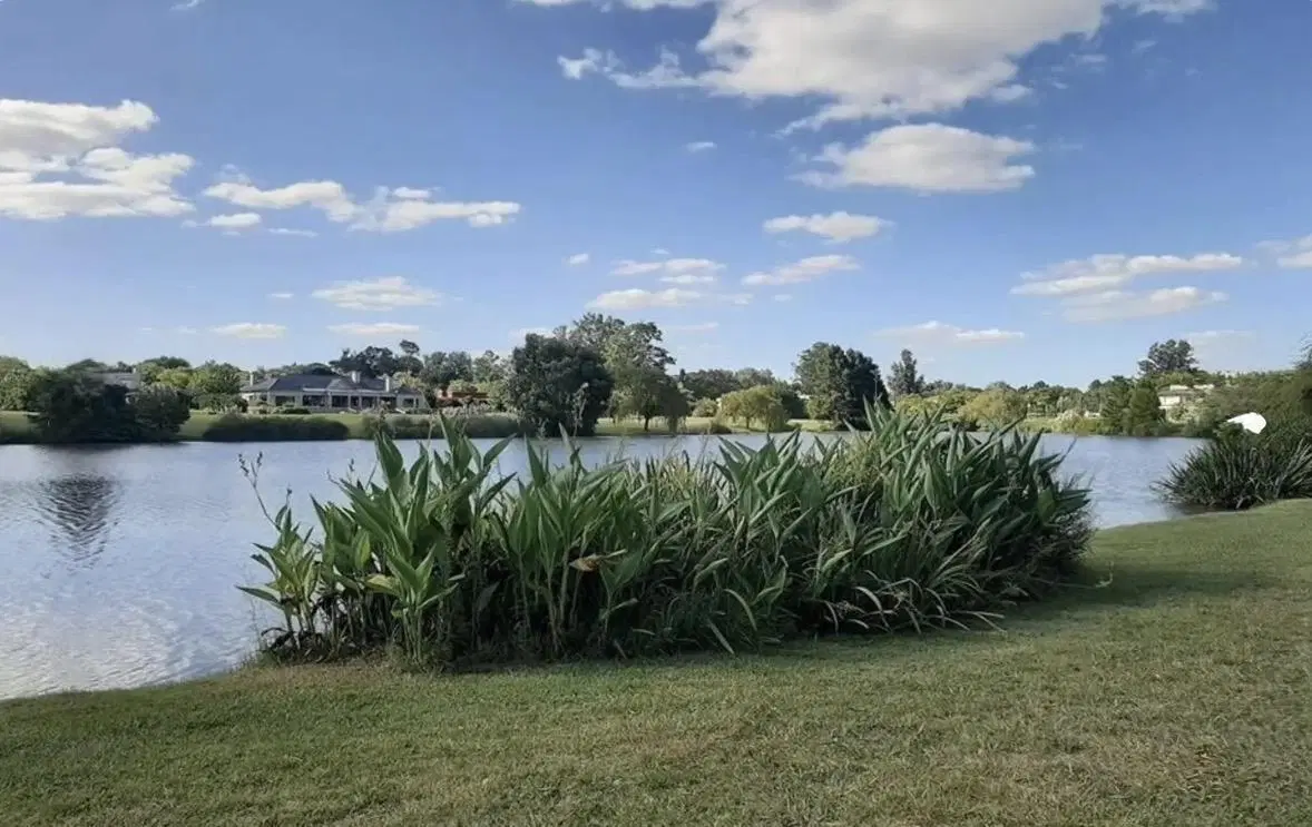 Lote en Venta en Club de Campo San Francisco 8