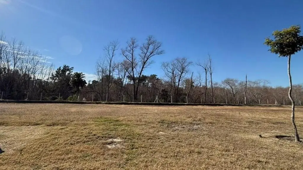 Lote en Venta en Nativas - Puertos 5
