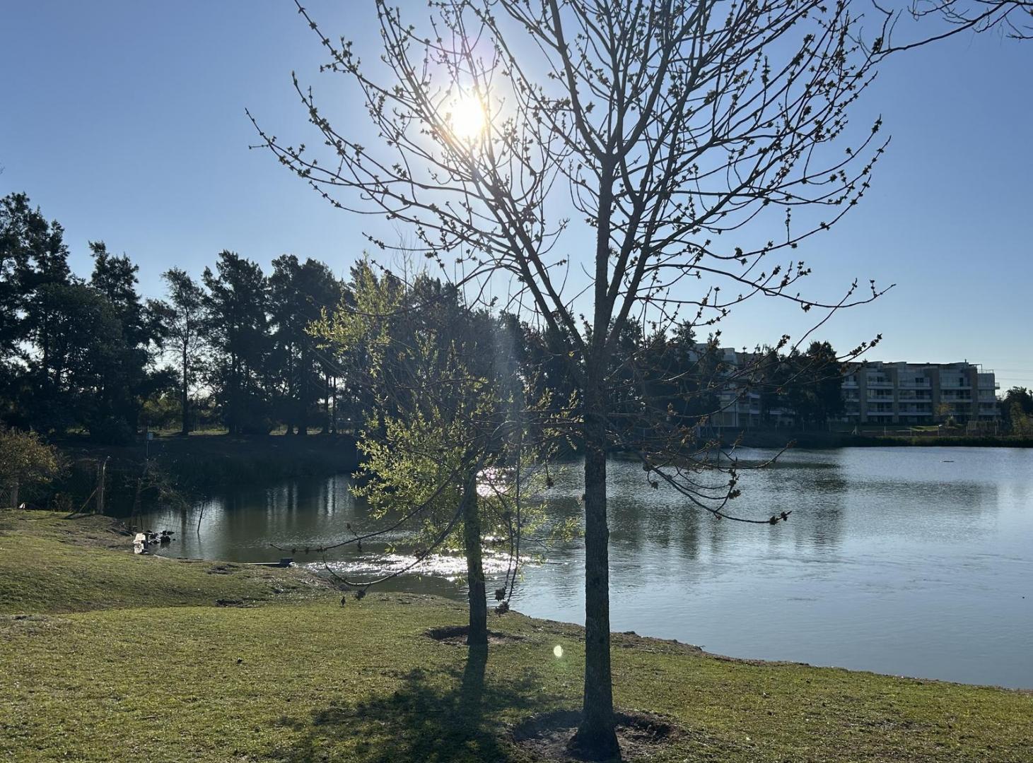 Foto de Casa en Venta Frente al Lago en Las Glorietas - Nordelta, imagen 1