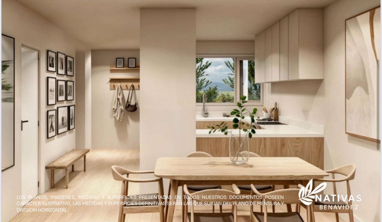 Foto de LANZAMIENTO NATIVAS BENAVIDEZ - TOWNHOUSES, imagen 5