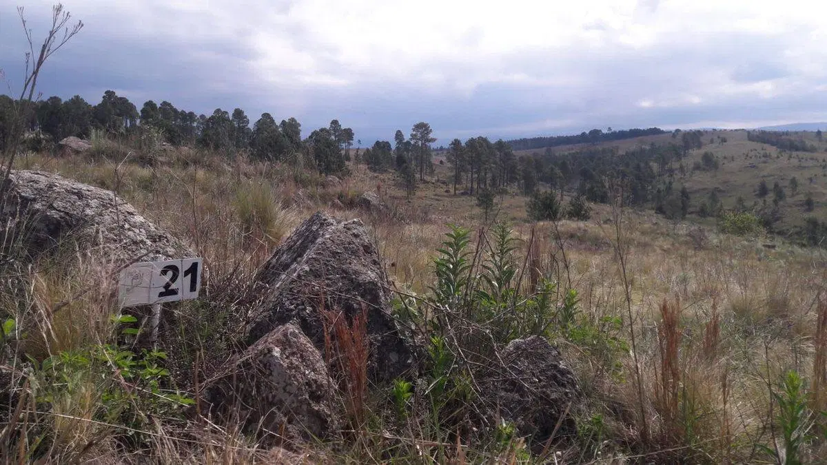 TERRENO EN VENTA OPORTUNIDAD LOMAS DEL TIGRE VGB 2