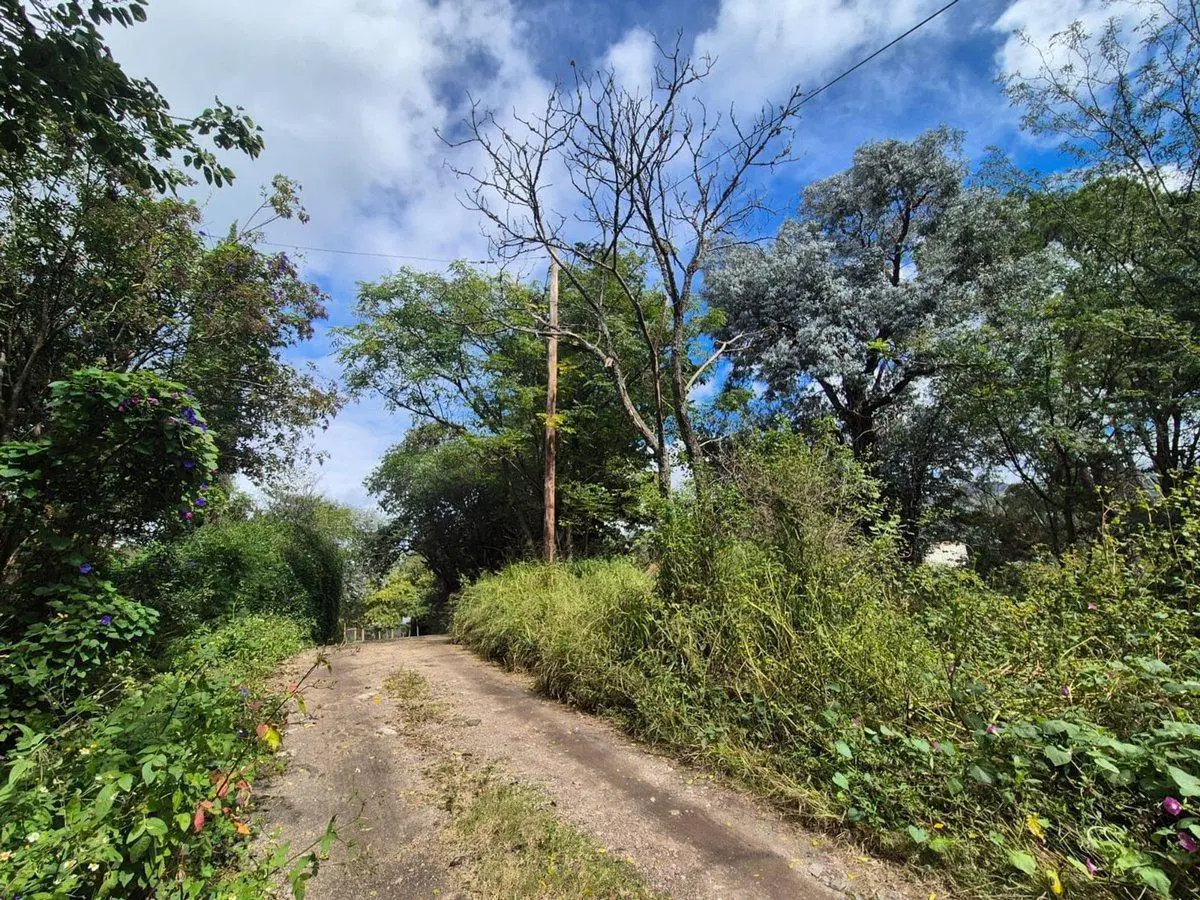 VENTA LOTE 1.700 M2 ASOCHINGA PROX RUTA E53 GOLF 2