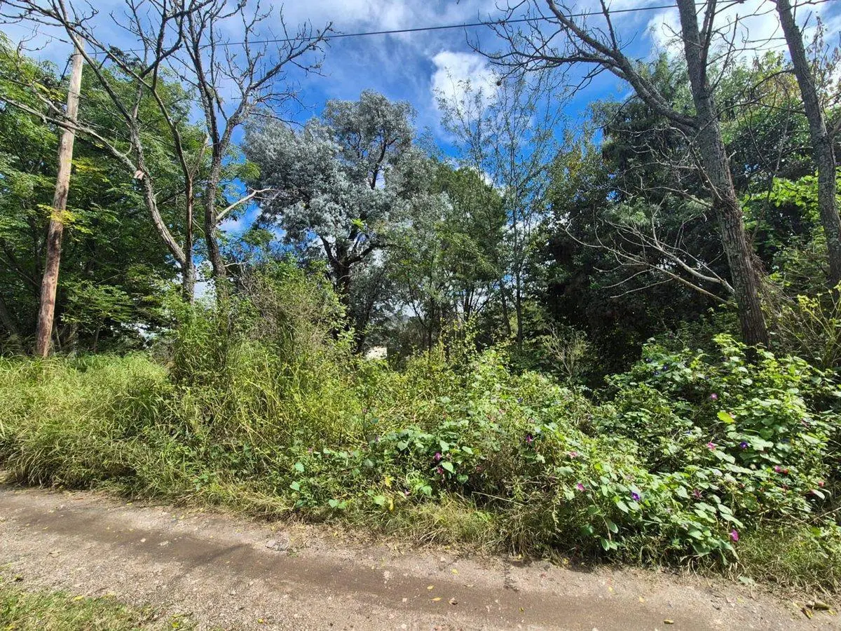 VENTA LOTE 1.700 M2 ASOCHINGA PROX RUTA E53 GOLF 4