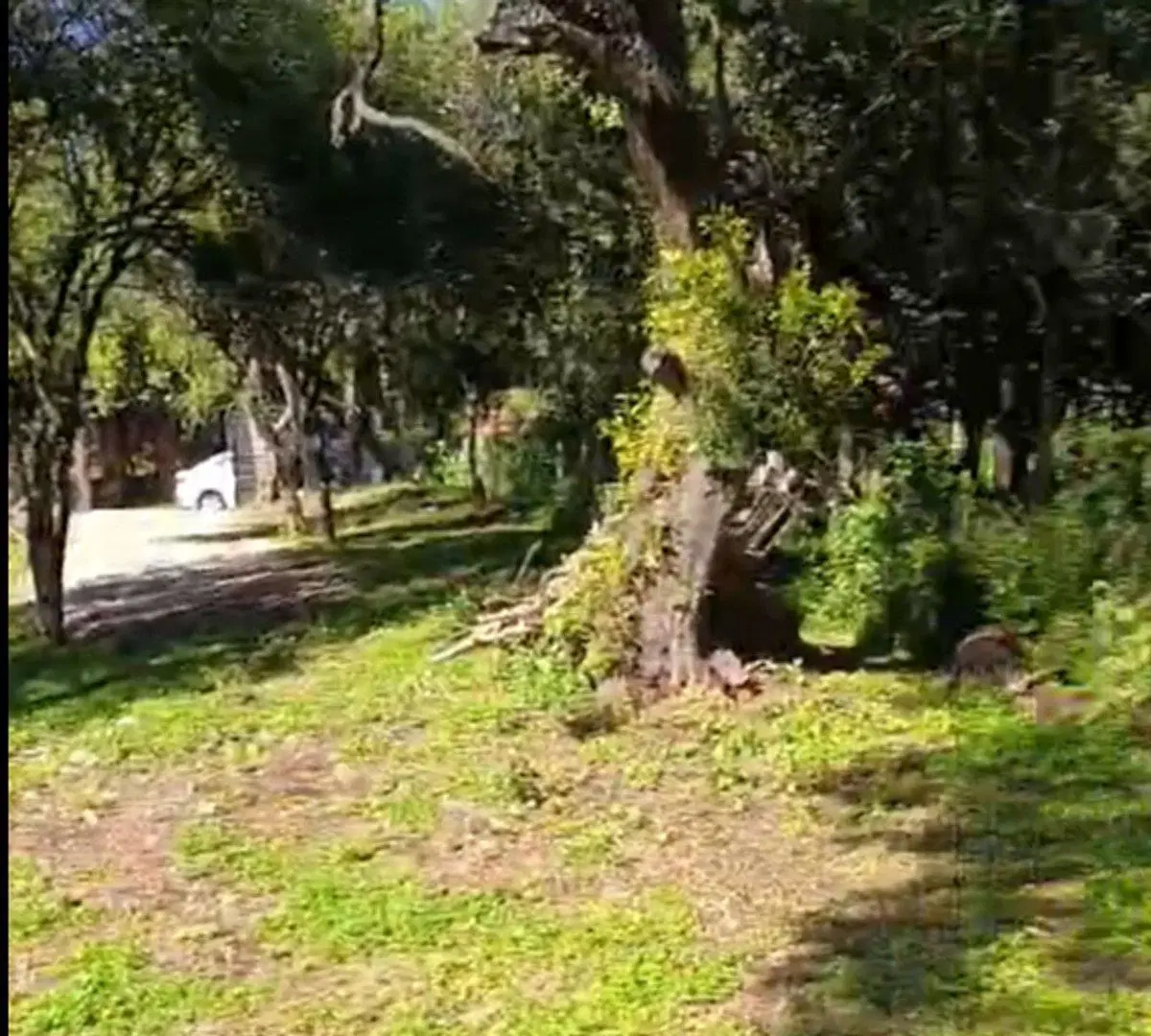 VENTA LOTE RIO CEBALLOS EXCELENTE ZONA 8