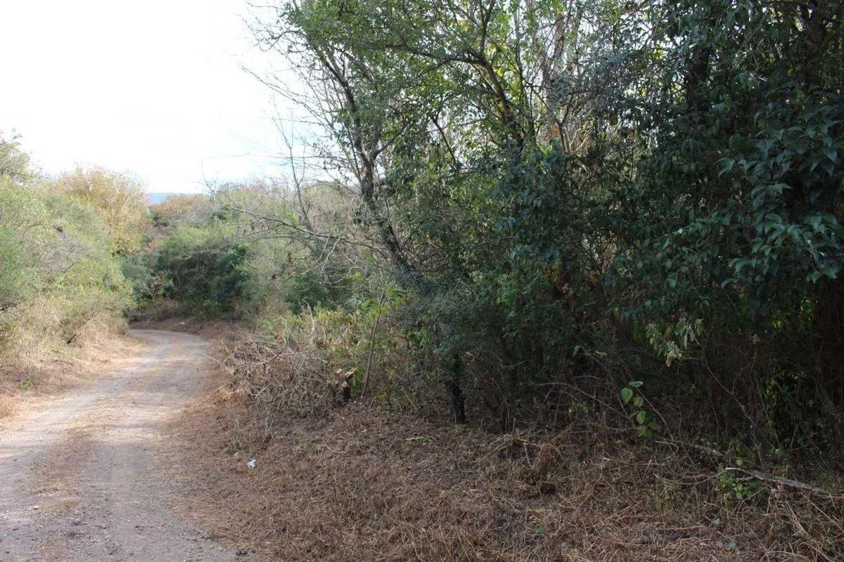 VENTA TERRENO 480M2 VILLA PAN DE AZUCAR COSQUIN 4