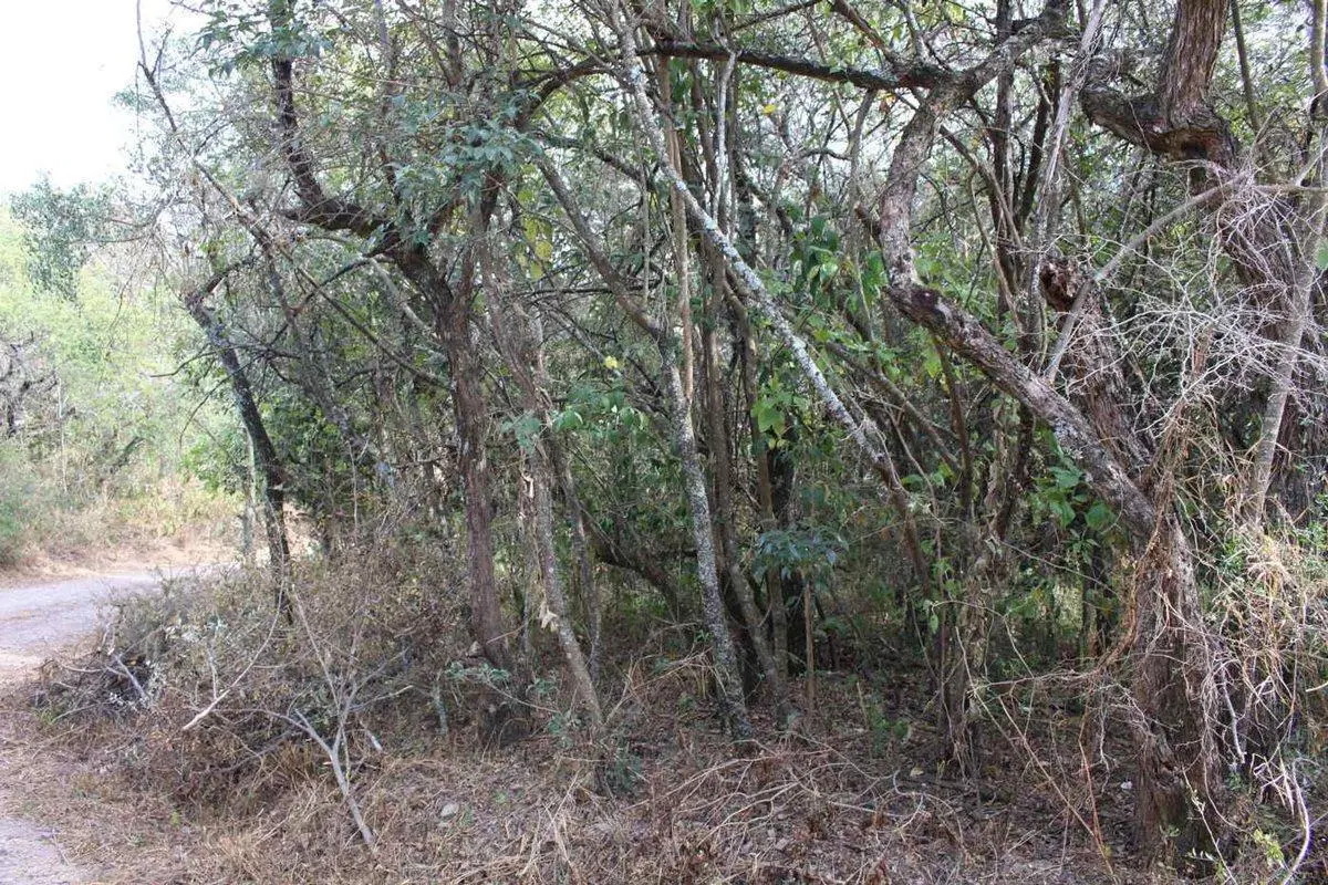 VENTA TERRENO 480M2 VILLA PAN DE AZUCAR COSQUIN 3
