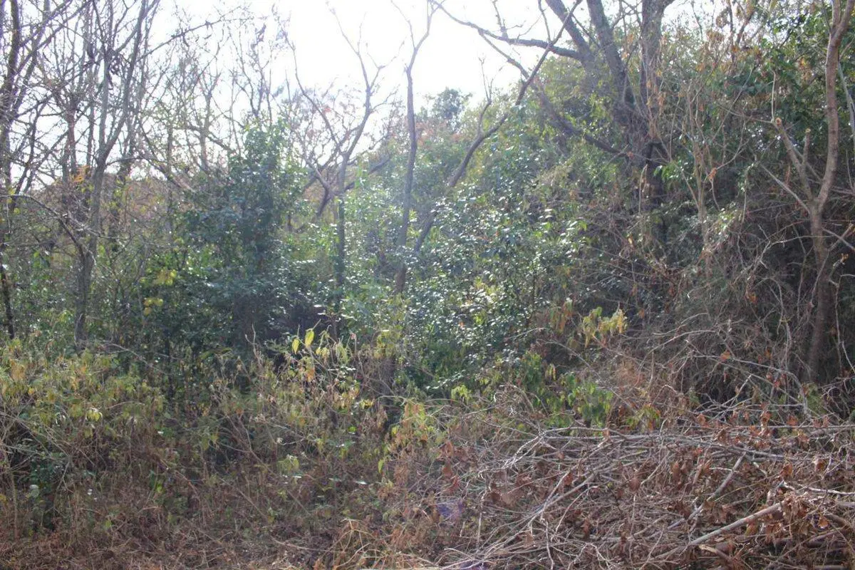 VENTA TERRENO 392M2 VILLA PAN DE AZUCAR COSQUIN 5