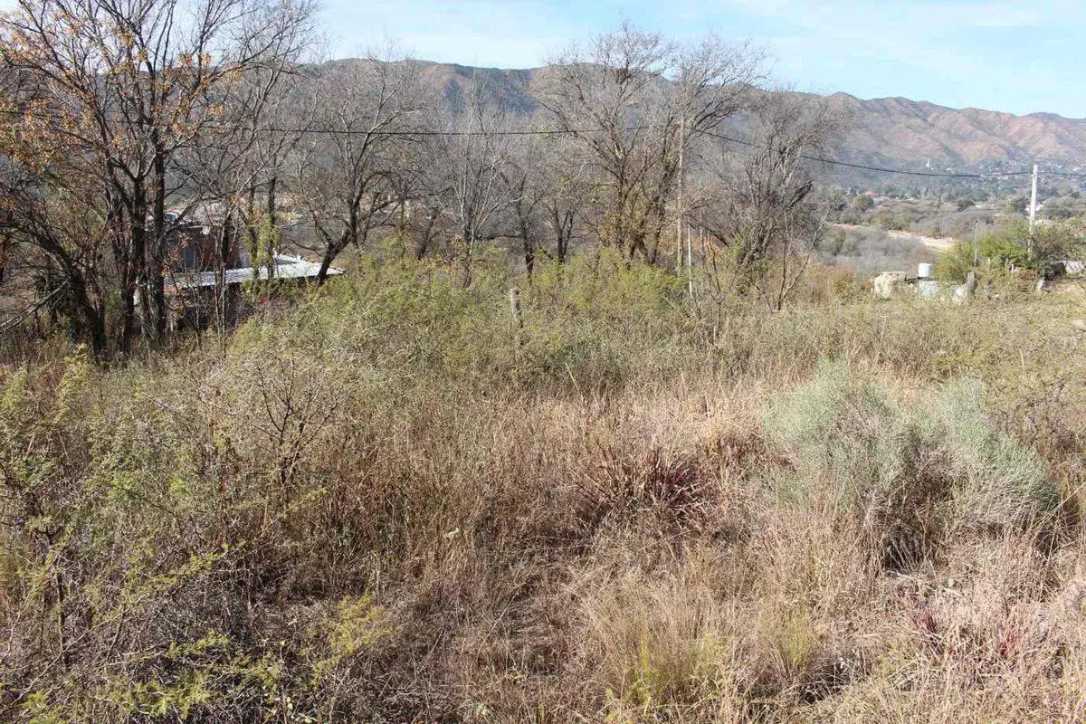 VENTA TERRENO 517 M2 EN BIALET MASSE A MTS DE RIO 5