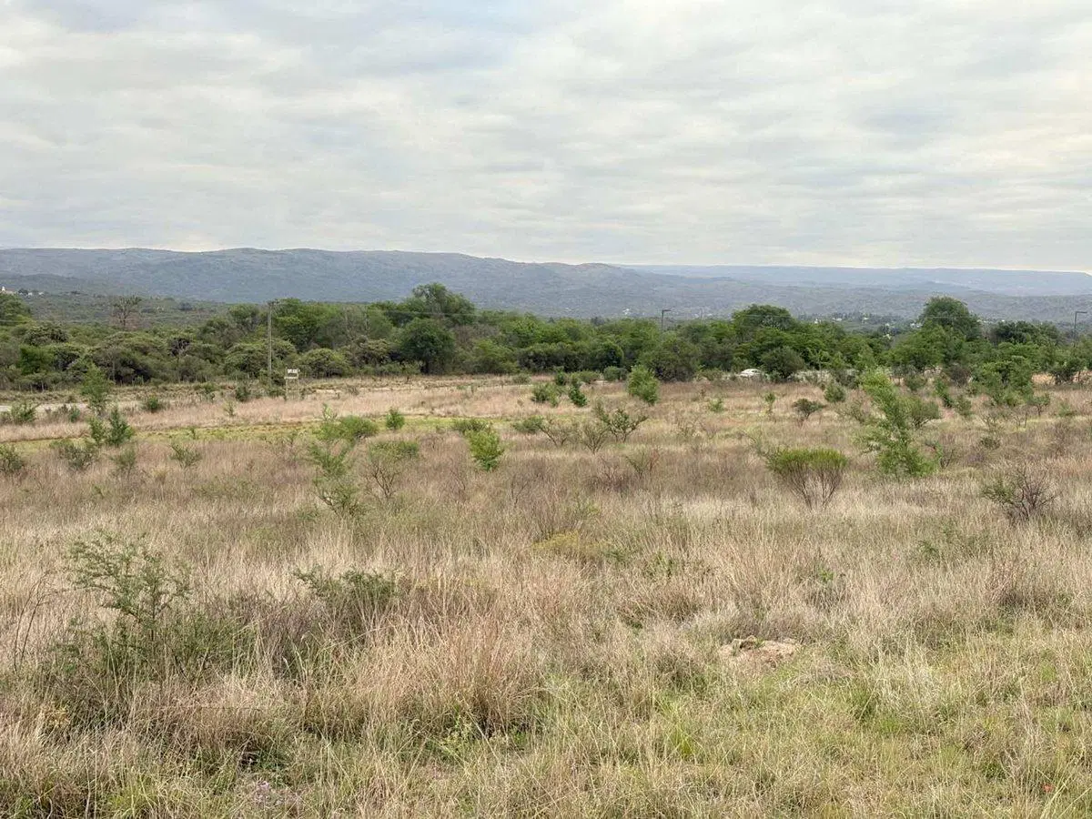 TERRENO 5559 M2 EN VENTA SAN ANTONIO DE ARREDONDO 5