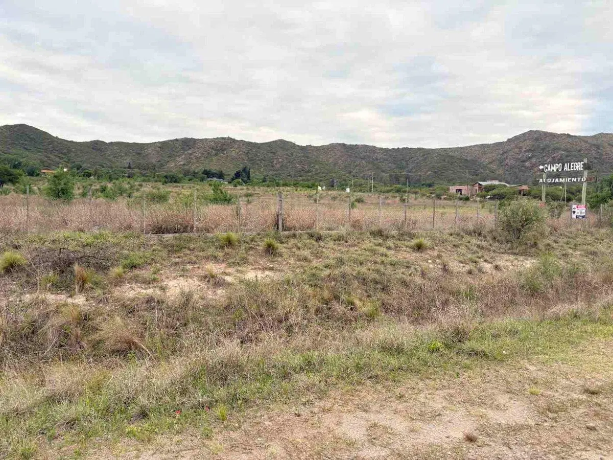 TERRENO 5559 M2 EN VENTA SAN ANTONIO DE ARREDONDO 3