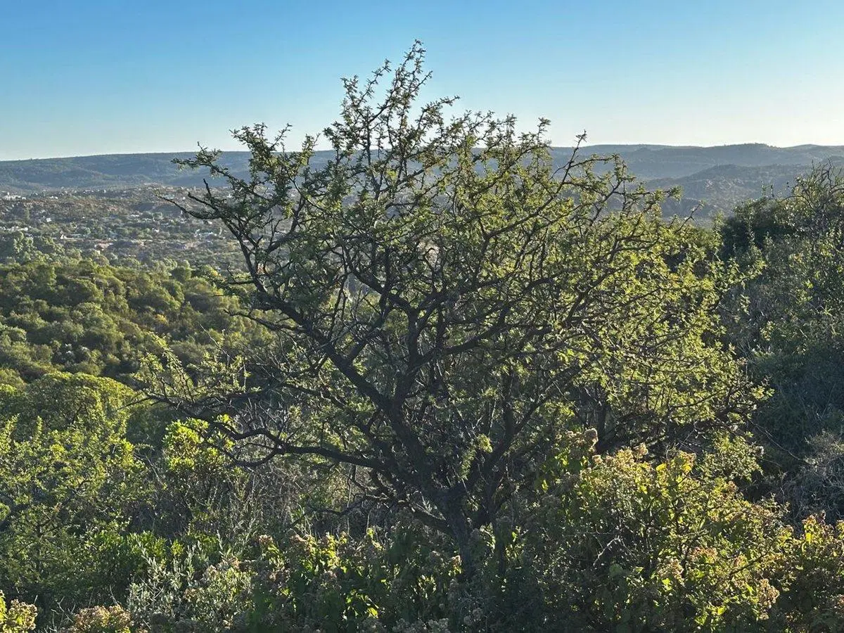 CAPILLA DEL MONTE, CORDOBA CERRO URITORCO 5