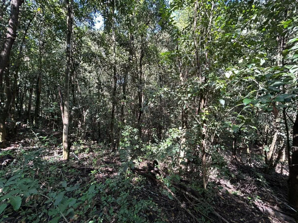 VENTA TERRENO 1005 mts LA SERRANITA 5